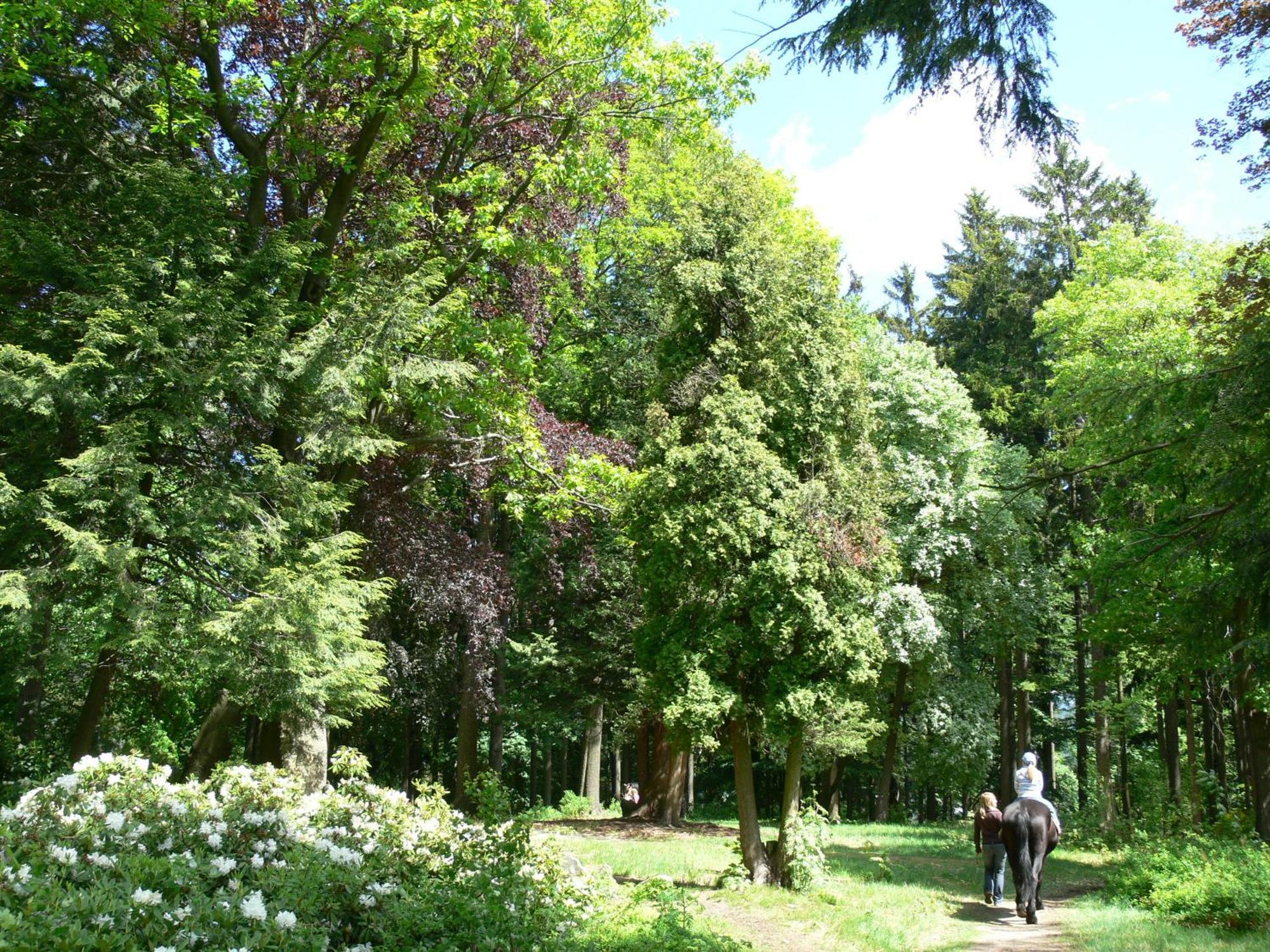 Parkhotel Smrzovka Exterior photo